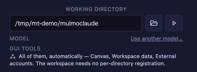 The launcher's GUI TOOLS section with the workspace selected: "All of them, automatically — Canvas, Workspace data, External accounts. The workspace needs no per-directory registration."